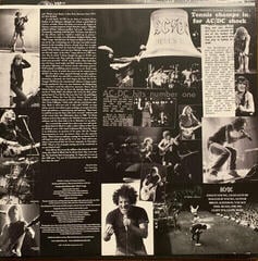 LP plošča AC/DC - Back In Black (Gold Metallic Coloured) (Limited Edition) (LP) - 5