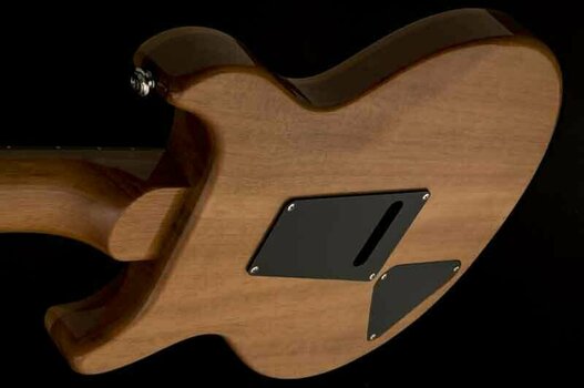 Elektrische gitaar PRS SE Santana Yellow - 10
