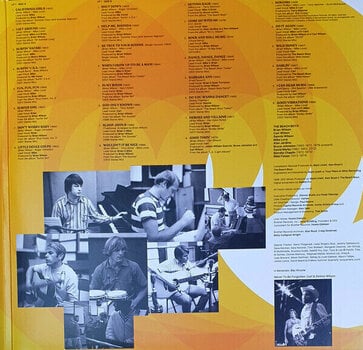 LP ploča The Beach Boys - Sounds Of Summer: The Very Best Of The Beach Boys (2 LP) - 5