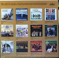 LP deska The Beach Boys - Sounds Of Summer: The Very Best Of The Beach Boys (2 LP) - 5