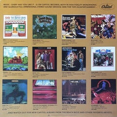 LP deska The Beach Boys - Sounds Of Summer: The Very Best Of The Beach Boys (2 LP) - 6