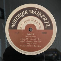 Płyta winylowa Wheeler Walker Jr. - Sex, Drugs & Country Music (LP) - 3