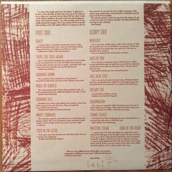 Vinyl Record R.E.M. - Dead Letter Office (LP) - 5