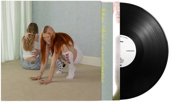 LP ploča Wet Leg - Moisturizer (LP) - 2