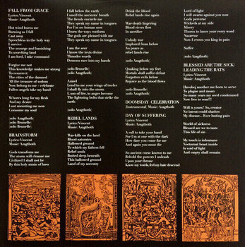 LP ploča Morbid Angel - Blessed Are The Sick (LP) - 5