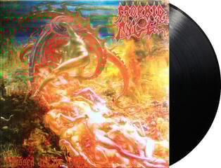 Vinyl Record Morbid Angel - Blessed Are The Sick (LP) - 1
