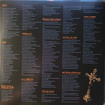 Disc de vinil Alabama 3 - Step 13 (LP) - 5