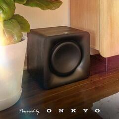 Active Subwoofer Klipsch SUB 100 Active Subwoofer - 7