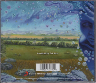 Glasbene CD Kansas - The Absence of Presence (CD) - 3