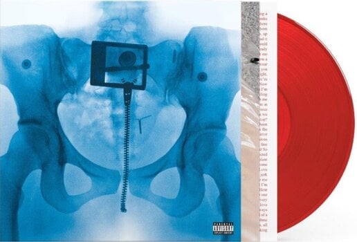 LP plošča Lorde - Virgin (Indie Exclusive) (Limited Edition) (Red Colored) (LP) - 2