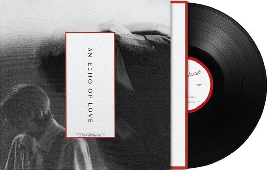 LP deska Kerala Dust - An Echo Of Love (LP) - 2