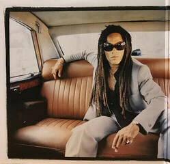 Disc de vinil Lenny Kravitz - 5 (180 g) (2 LP) - 3