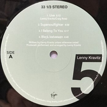 LP ploča Lenny Kravitz - 5 (180 g) (2 LP) - 6
