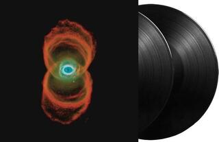 Грамофонна плоча Pearl Jam - Binaural (Reissue) (2 LP) - 1