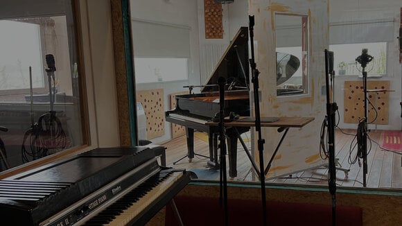 VST Instrument Sampleson MetaPiano (Produto digital) - 2