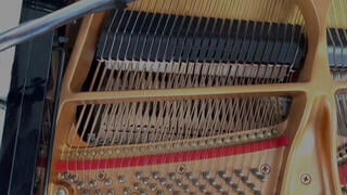 VST Instrument Sampleson MetaPiano (Digital produkt) - 2