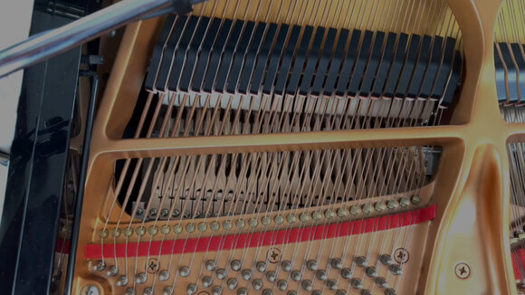 VST Instrument Sampleson MetaPiano (Produto digital) - 3