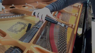 VST Instrument Sampleson MetaPiano (Digital produkt) - 4