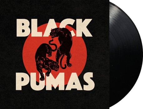 LP ploča Black Pumas - Black Pumas (LP) - 2