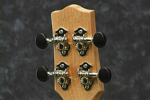 Concertukelele Ibanez UEW36E-LBS - 2