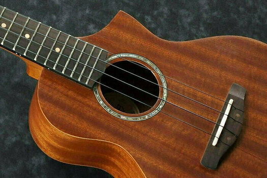 Koncertné ukulele Ibanez UEW36E-LBS - 4