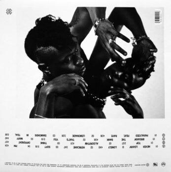 Disc de vinil Lucky Daye - Algorithm (White Coloured) (2 LP) - 7