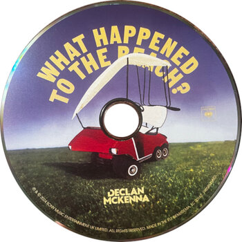 Glasbene CD Declan McKenna - What Happened To The Beach? (CD) - 2