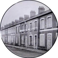 Vinylplade Manic Street Preachers - Critical Thinking (Limited Edition) (Picture Disc) (LP) - 2