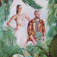 Δίσκος LP Sofi Tukker - Tree House (LP) - 3