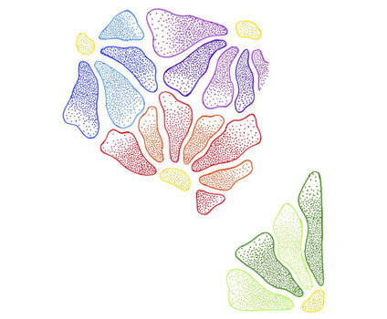 Flomaster Jovi 1924 Set flomastrov 24 kos - 6