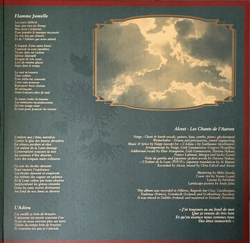 Disc de vinil Alcest - Les Chants de l'Aurore (Black Yellow Marbled Coloured with Eyesore) (2 LP) - 6