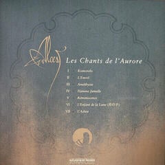 Vinüülplaat Alcest - Les Chants de l'Aurore (Black Yellow Marbled Coloured with Eyesore) (2 LP) - 6