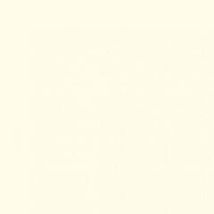 Farbe für Keramik Pébéo Ceramic Farbe für Keramik White 45 ml 1 stk - 1