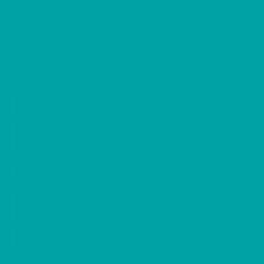 Farbe für Keramik Pébéo Ceramic Farbe für Keramik Turquoise 45 ml 1 stk - 1