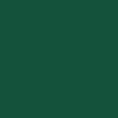Farba do porcelany
 Pébéo Porcelaine 150 Farba do porcelany Olivine Green 45 ml 1 szt. - 1