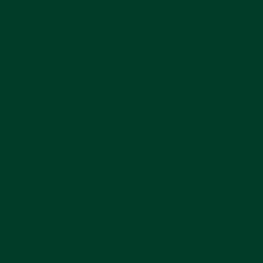 Farba do porcelany
 Pébéo Porcelaine 150 Farba do porcelany Emerald 45 ml 1 szt. - 1
