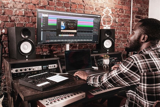 VST Instrument Steinberg Electric Bass (Digitalni izdelek) - 3