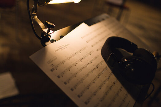 Audio biblioteka za sampler Steinberg Iconica Sections & Players (Digitalni proizvod) - 8