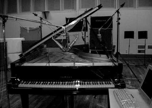 VST Instrument Steinberg The Grand 3 (Digitales Produkt) - 2