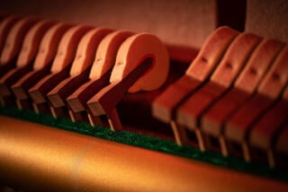 VST Instrument Steinberg Verve (Digitális termék) - 2