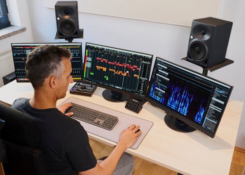 Software de masterização Steinberg SpectraLayers Elements 12 Full Version (Produto digital) - 5