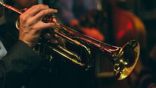 Hangkönyvtár Steinberg Iconica Ensembles (Digitális termék) - 5