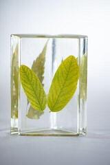 Resin Art Pébéo Crystal Resin Bio Kit Crystal Resin 150 ml - 2