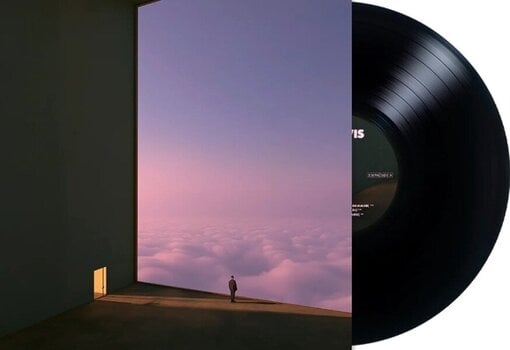 Vinylskiva SG Lewis - Anemoia (LP) - 2