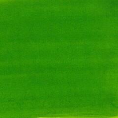 Tuš Pébéo Colorex Мастило за цртање Spring Green 45 ml 1 kom - 1