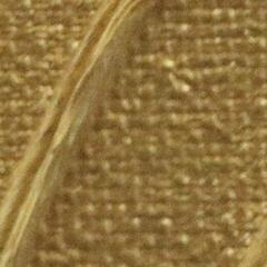 Tinta acrílica Pébéo Origin Tinta acrílica Gold 60 ml 1 un. - 1