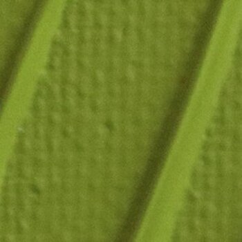 Tinta acrílica Pébéo Origin Tinta acrílica Light Olive Green 120 ml 1 un. - 2