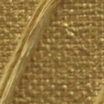 Culoare acrilică Pébéo Origin Vopsea acrilică Gold 240 ml 1 buc. - 2