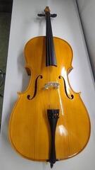 Violončelo Valencia CE160G 4/4 Violončelo (Rabljeno) - 1