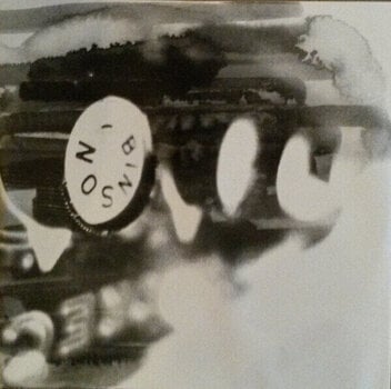 Δίσκος LP Melody Gardot - Currency Of Man (Gatefold) (2 LP) - 4